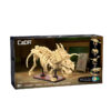 CaDA dinozavrov fosil:Triceratops C59013W