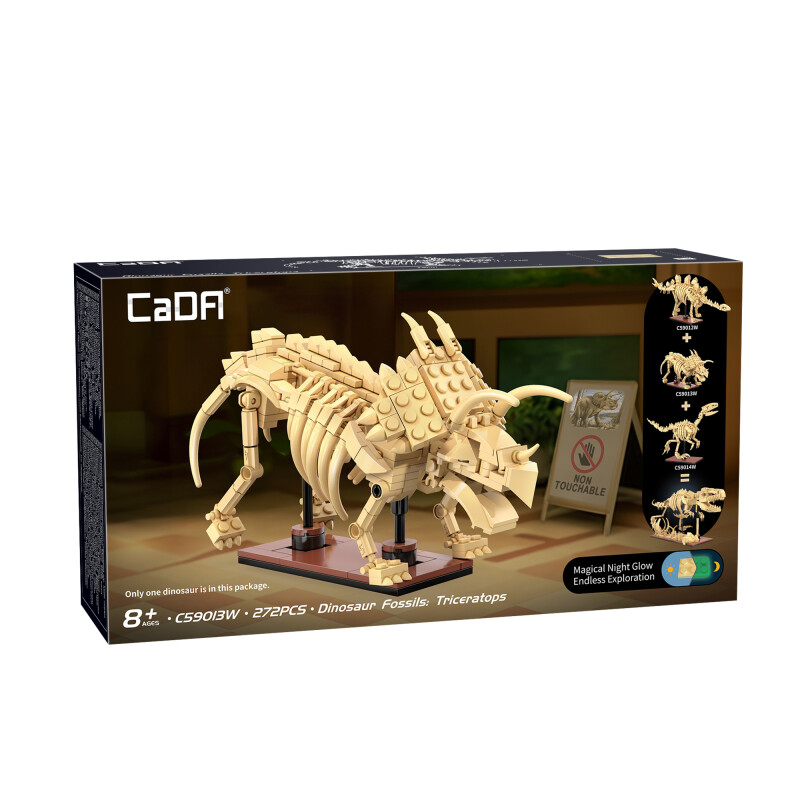 CaDA dinozavrov fosil:Triceratops C59013W