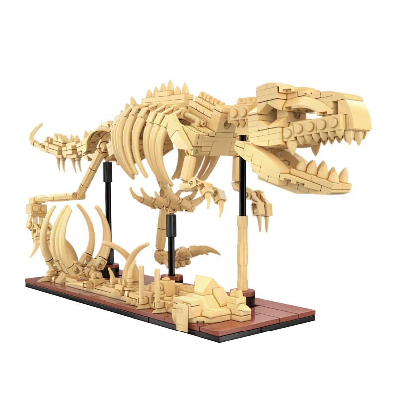 CaDa dinozavrov forsil: Velociraptor C59014W